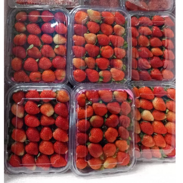 

strawberry fresh grade B (sedang) 1 kg