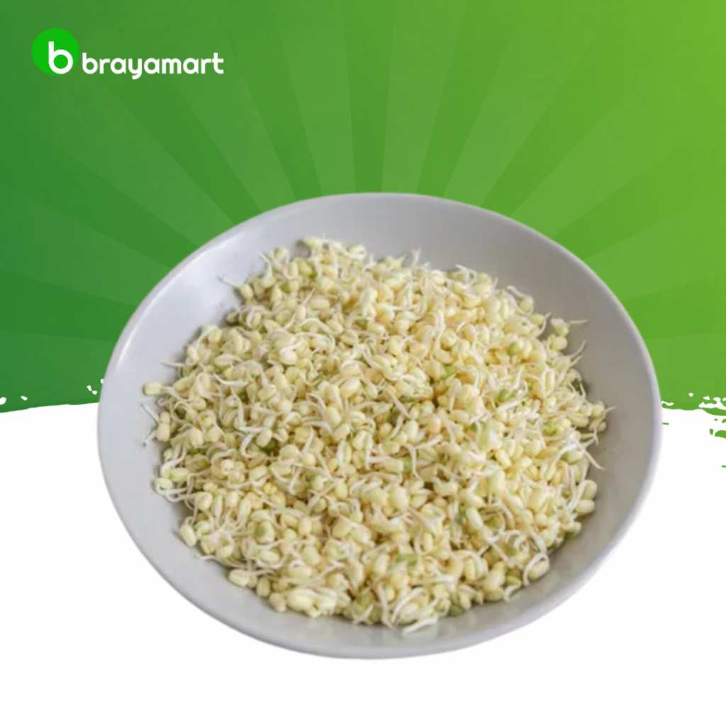 

Tauge toge soto Brayamart