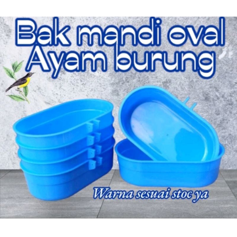 Cepuk Oval Tempat Mandi Burung Wadah Pakan Ayam Burung