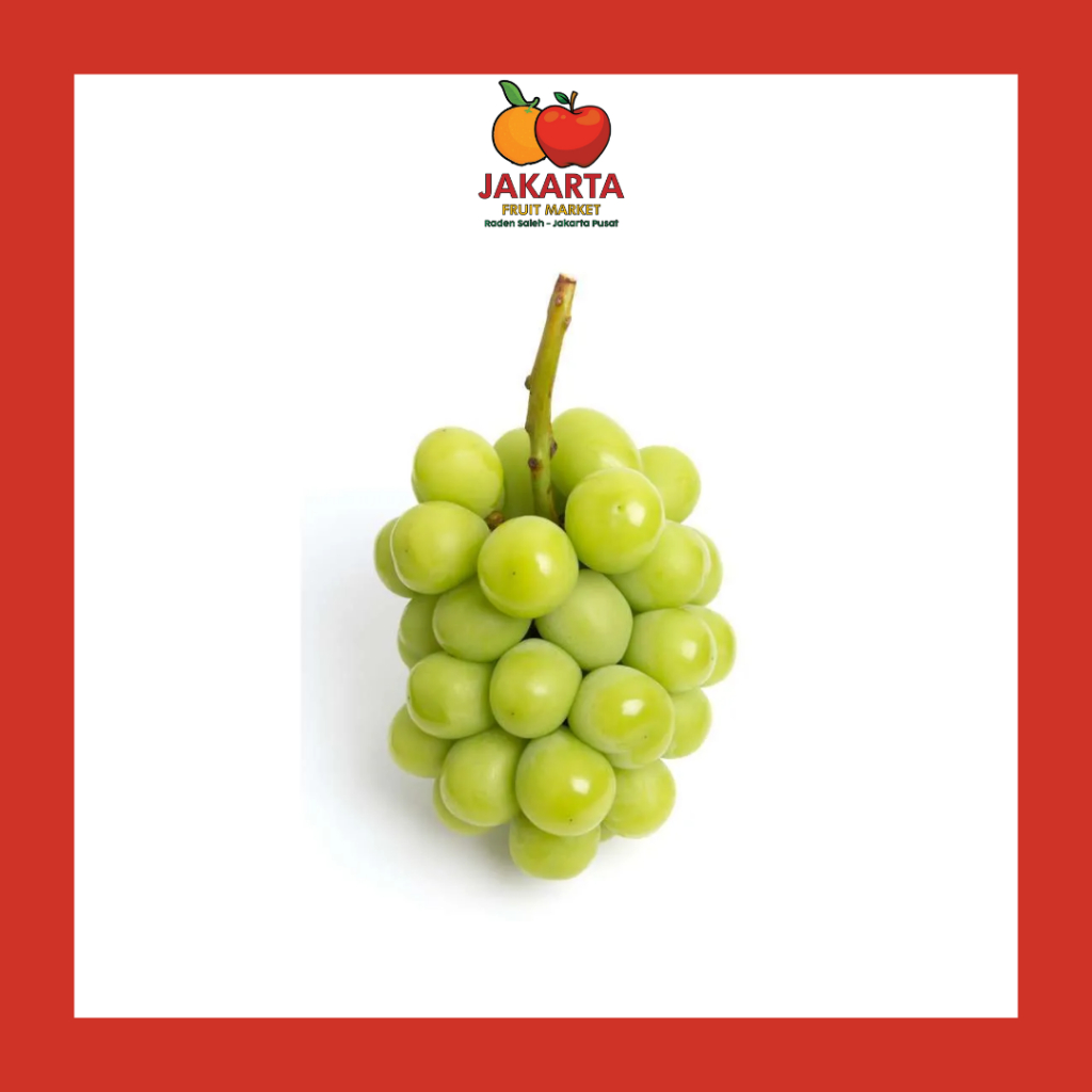 

Anggur muscat rrc 1pack/ 500 gr