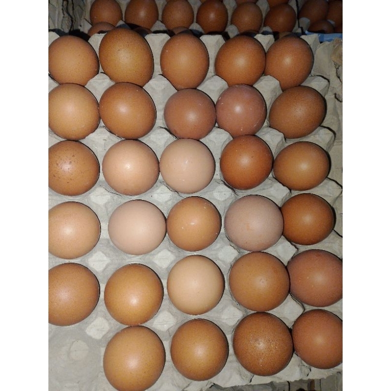 

telur ayam negri/250gr