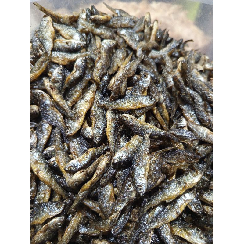 

IKAN BILIH PADANG/BILIS PADANG/IKAN DANAU SINGKARAK/IKAN KUALITAS SUPER