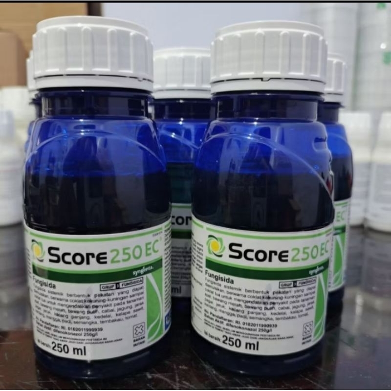 Score 250ml