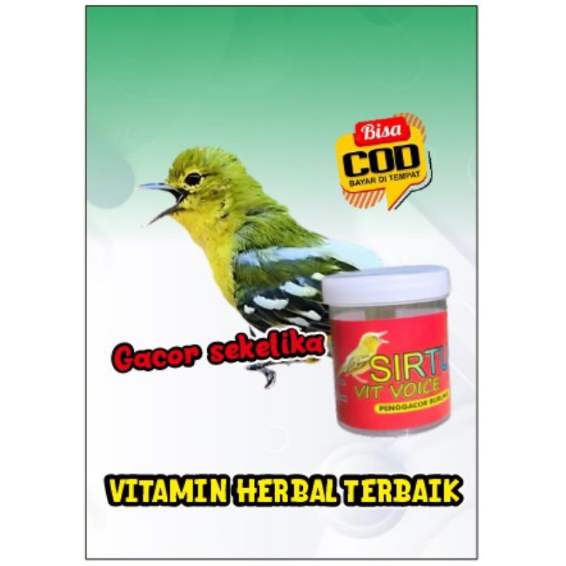 vitamin penggacor sirtu vit voice ( vitamin burung cipow gacor)