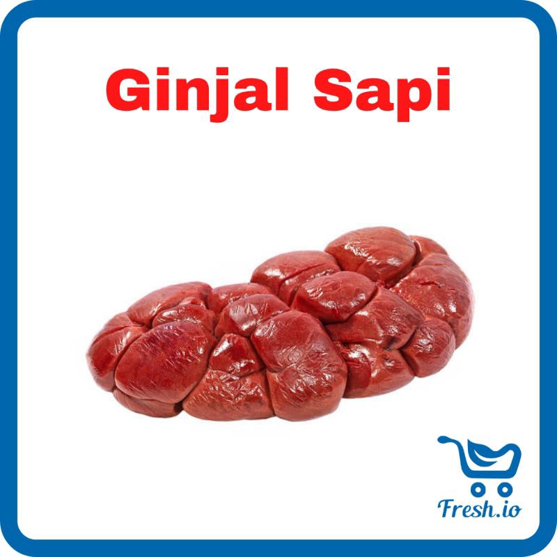 

Ginjal Sapi
