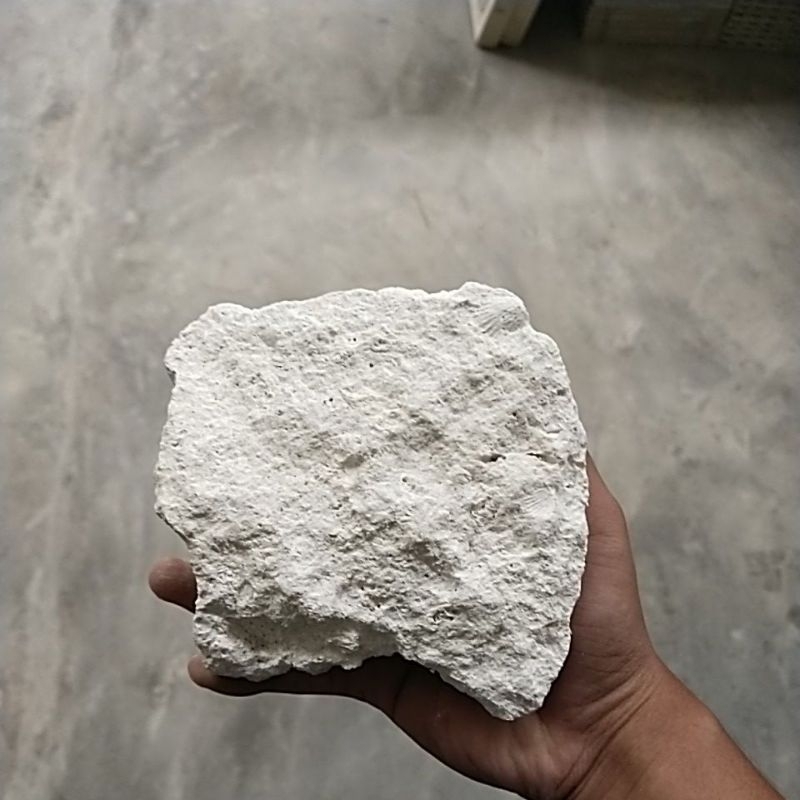Batu Limestone Putih | Batu Alam | Batu Bali | Dekorasi Dinding