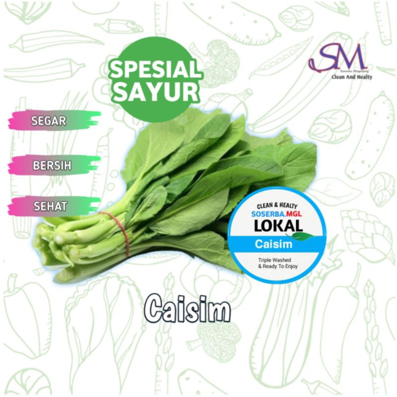 

Caisim sayur murah