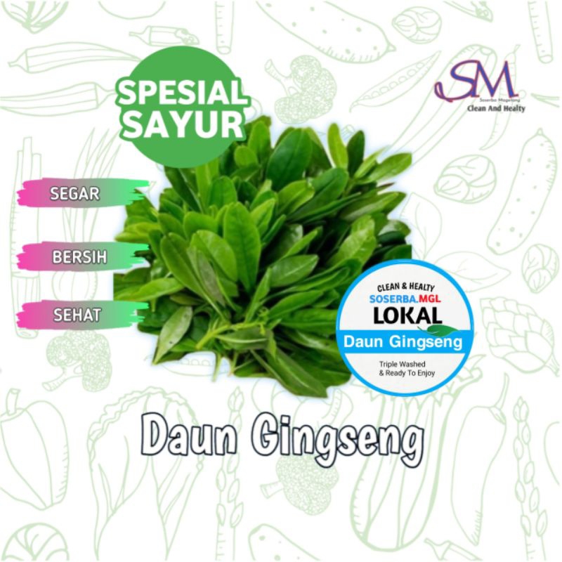 

Daun Gingseng termurah