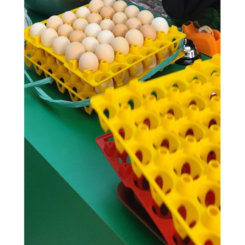 

telur ayam kampung