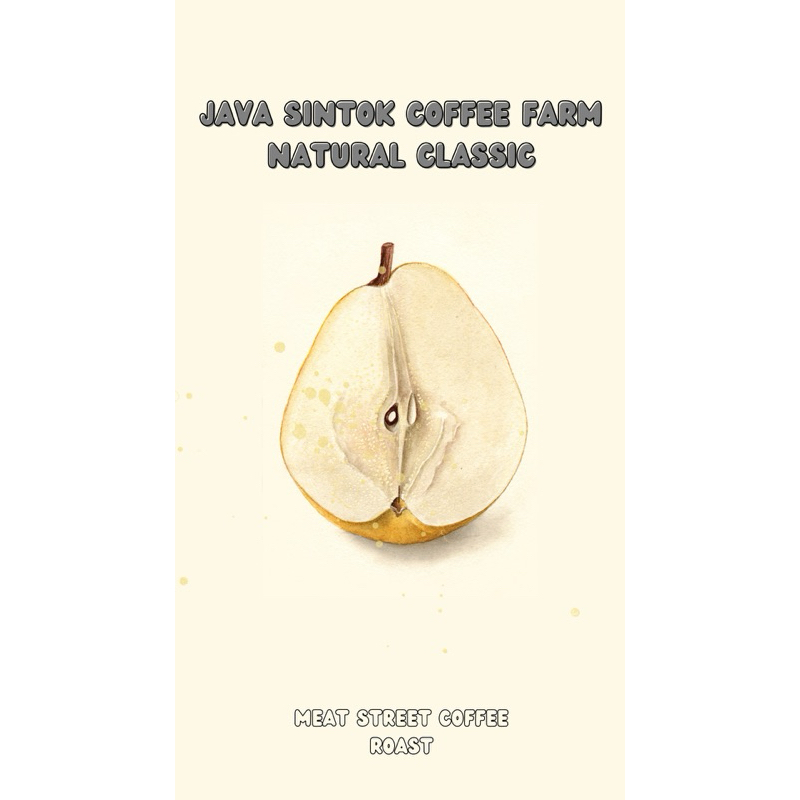 

ARABICA JAVA SINTOK COFFEE FARM