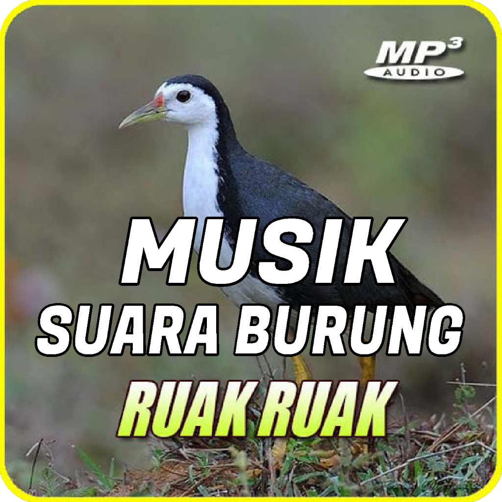 Alat Musik Untuk Memanggil Memikat Burung Ruak Ruak File Audio MP3