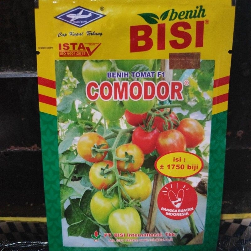 Benih Tomat Comodor