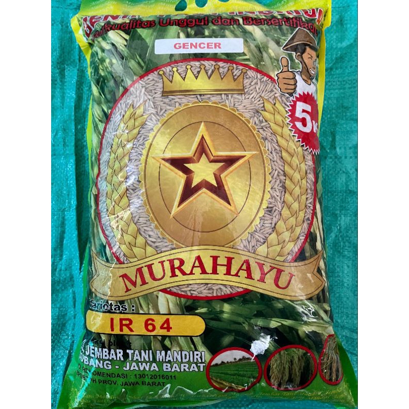 BENIH PADI IR 64 (GENCER) PREMIUM super genjah