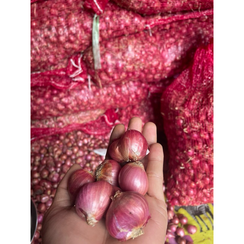 

Bawang Merah Super Jumbo Premium