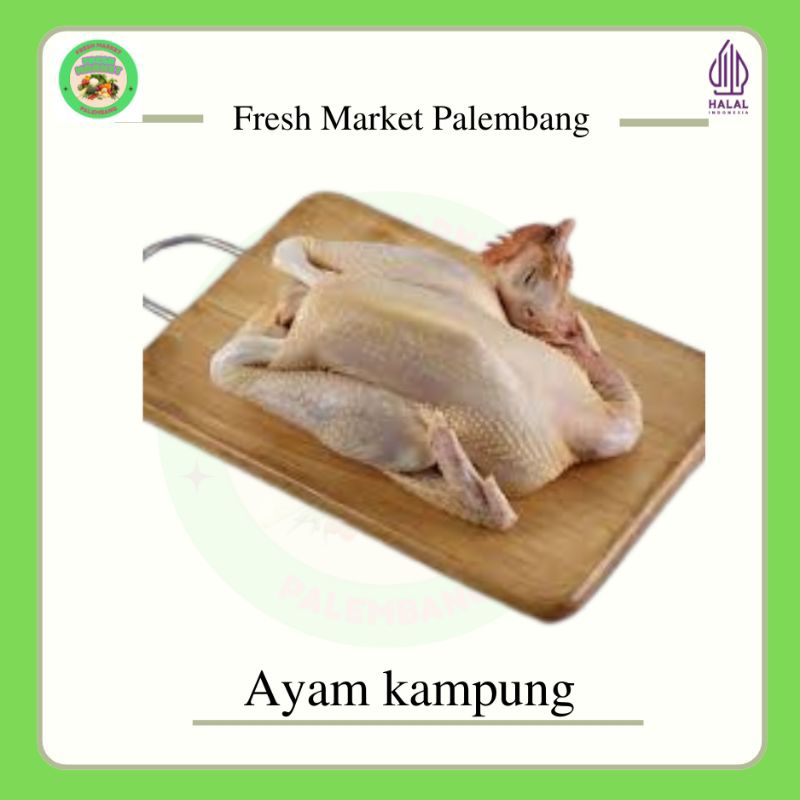 

Ayam kampung Asli -Fresh Market Palembang-