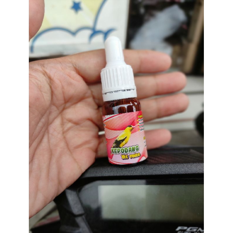 kepodang VIT voice ( penggacor burung kepodang bahan hutan dan macetan habis mabung )