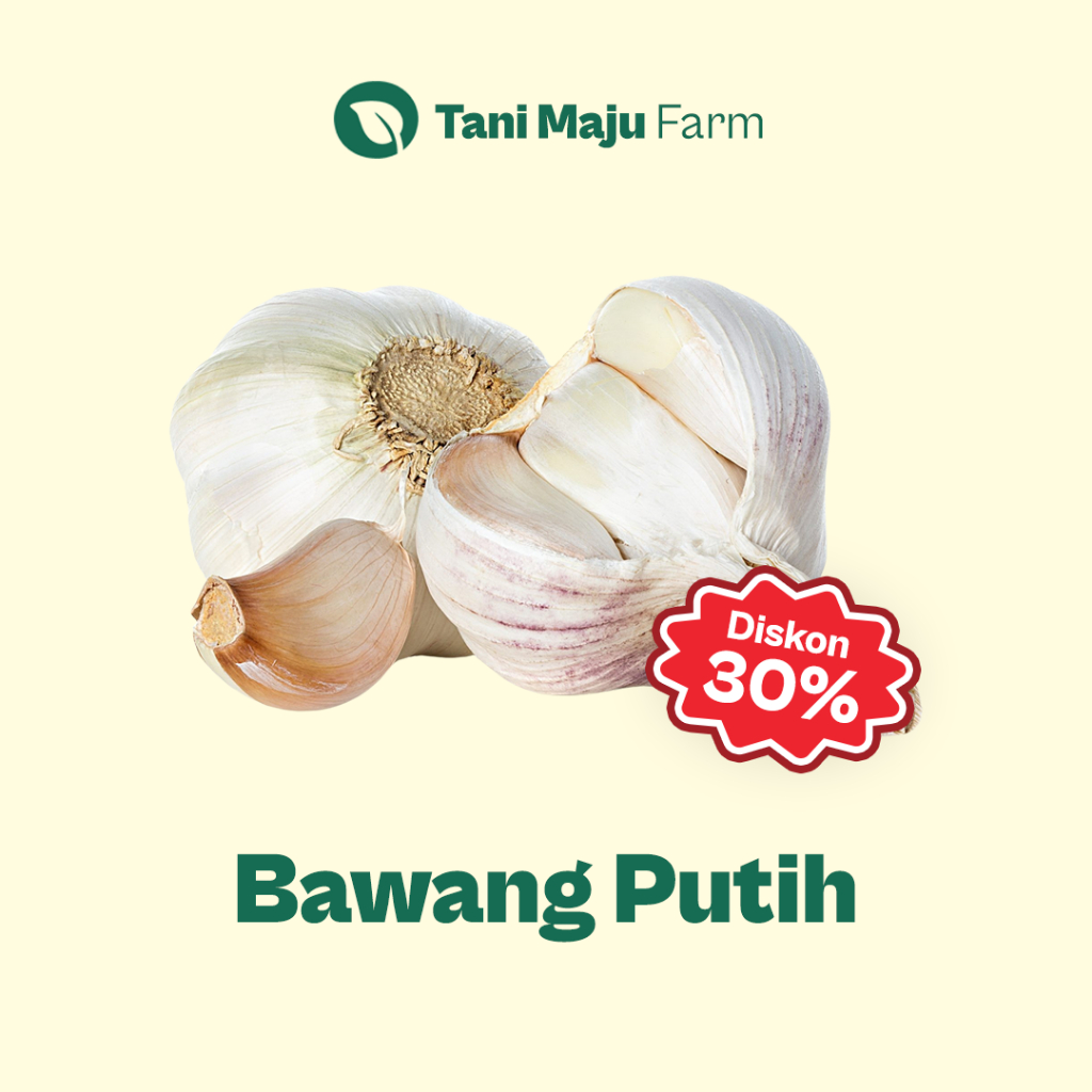 

Bawang Putih Garlic Sinco Fresh (250 gram) - Rempah