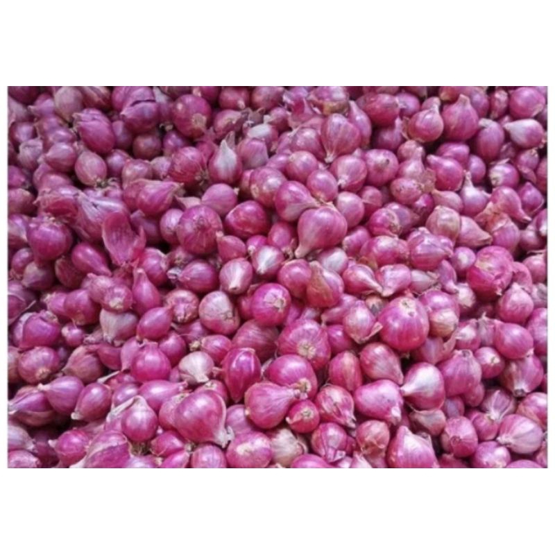 

Bawang Merah super 1kg terbaik