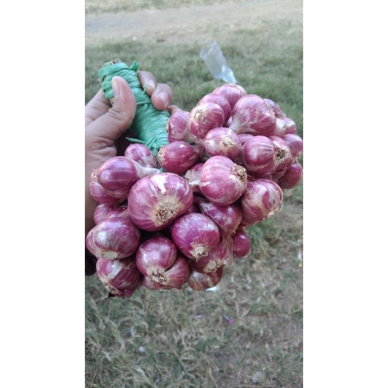 

bawang merah