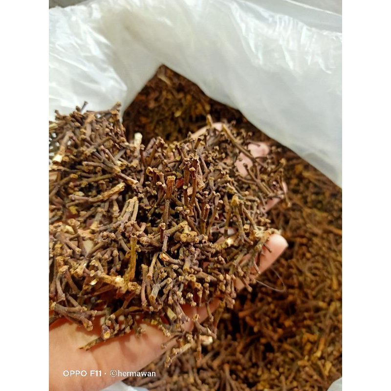 

Bangkang /Gagang Cengkeh Kering 500g