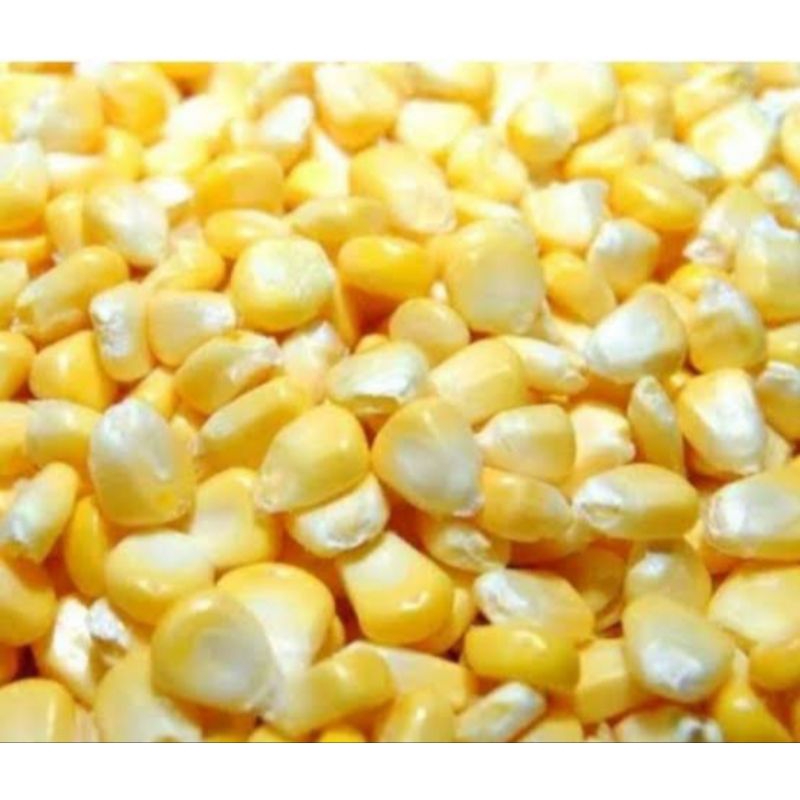 

Jagung pipil manis per bungkus