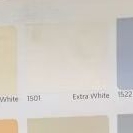 Cat Tembok Nippon Paint Qluc 4,5kg Anti Jamur