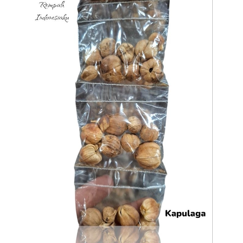 

Kapulaga renceng isi 10 pcs|kapulaga