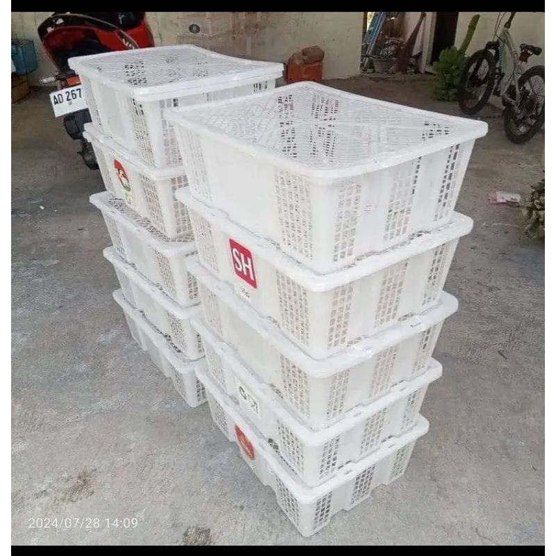 KERANJANG BEKAS KLENGKENG , KERANJANG BEKAS BUAH , KERANJANG SERBAGUNA ,KERANJANG PLASTIK