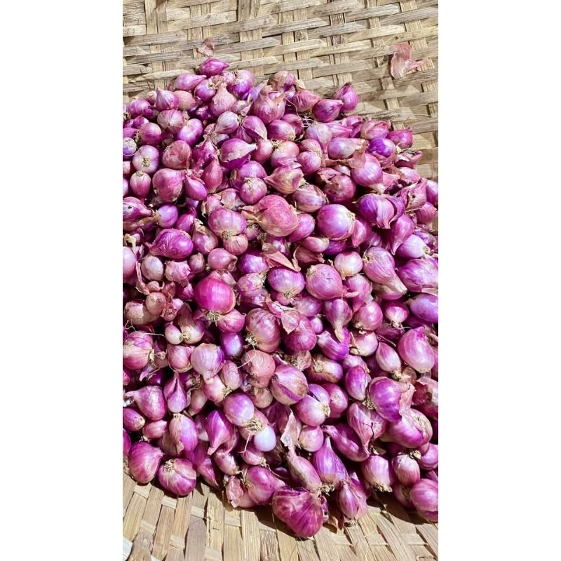 

BAWANG MURAH TANGGUNG SEDANG 1KG