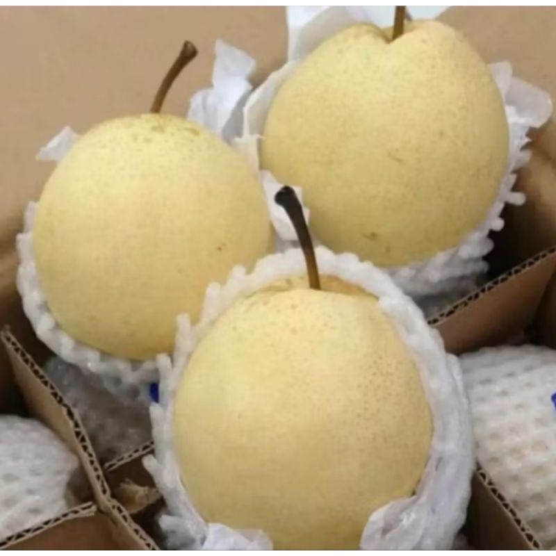 

pasar samarinda buah pear 500 gr