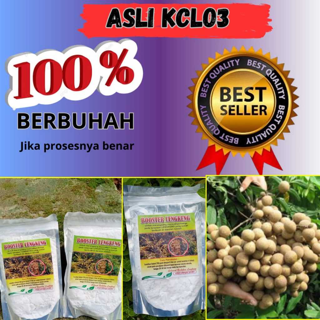 Boster kelengkeng, Boster kelengkeng agar cepat berbuah, Boster kelengkeng murni