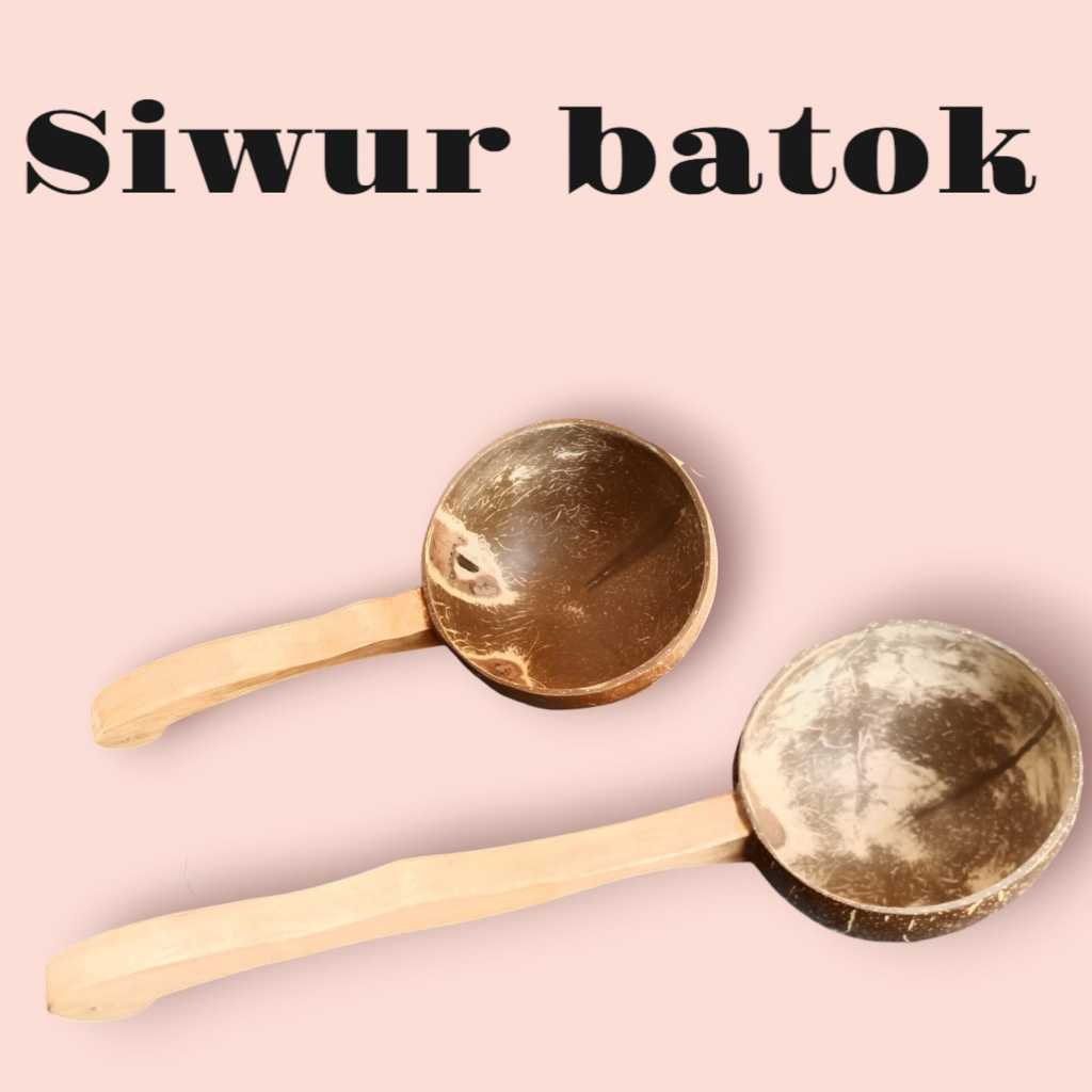 SIWUR BATOK KELAPA/Gayung Batok Kelapa/Kerajinan Batok Kelapa
