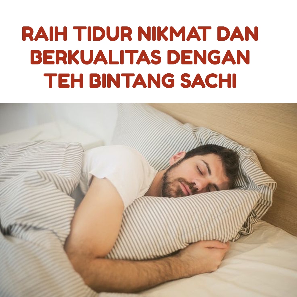 

Herbal Tidur Nikmat Tanpa Stress Teh Sacha Ichi