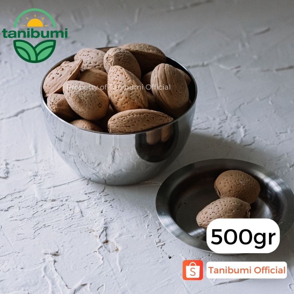 

500g | Kacang Almond Cangkang Mentah | Utuh | Whole Raw Shell Natural Grade B