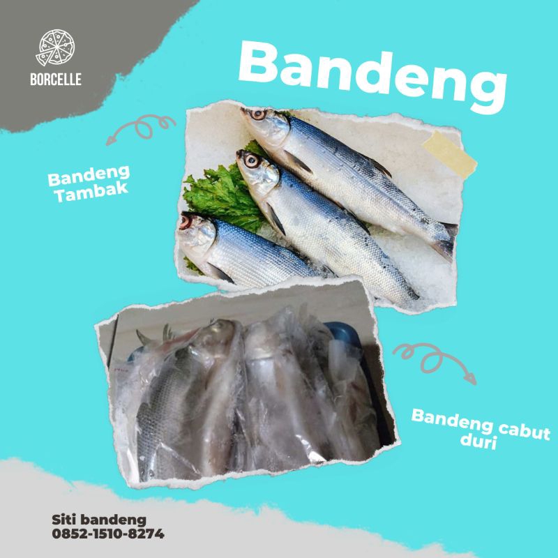 

Bandeng premium cabut duri