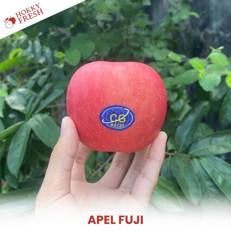 

Apel Fuji / Kg