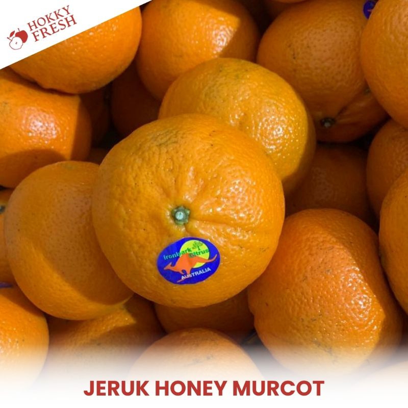 

Jeruk Honey Murcot / Kg