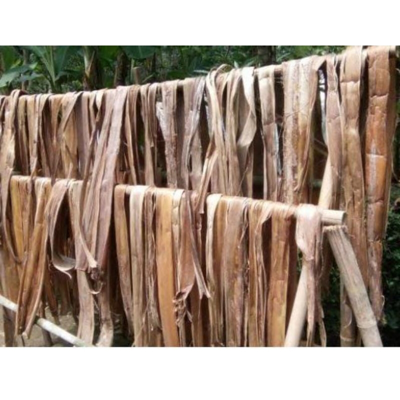 Gedebog Pisang Kering Asli Premium Kerajinan Termurah