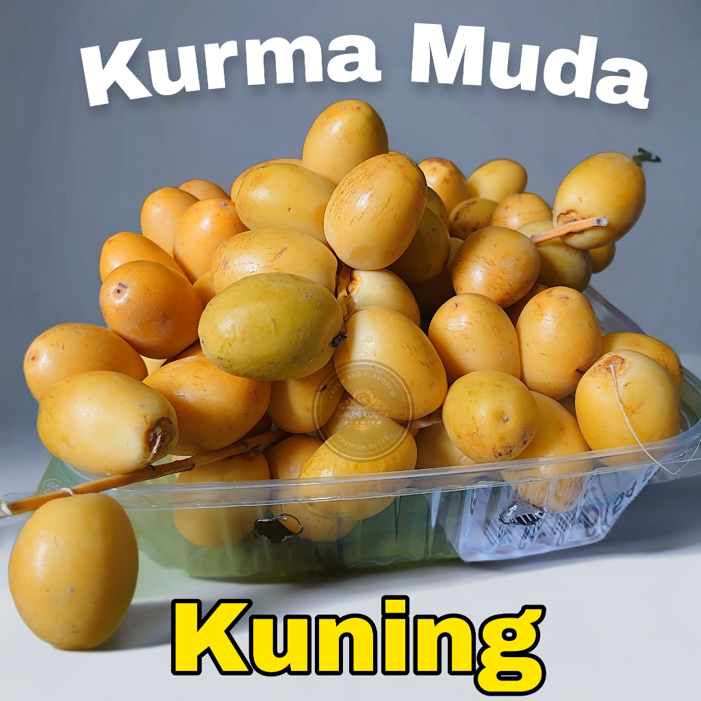 

Kurma muda Kurma muda kuning Kurma muda promil Kurma muda fresh Kurma muda untuk Promil Pasutri
