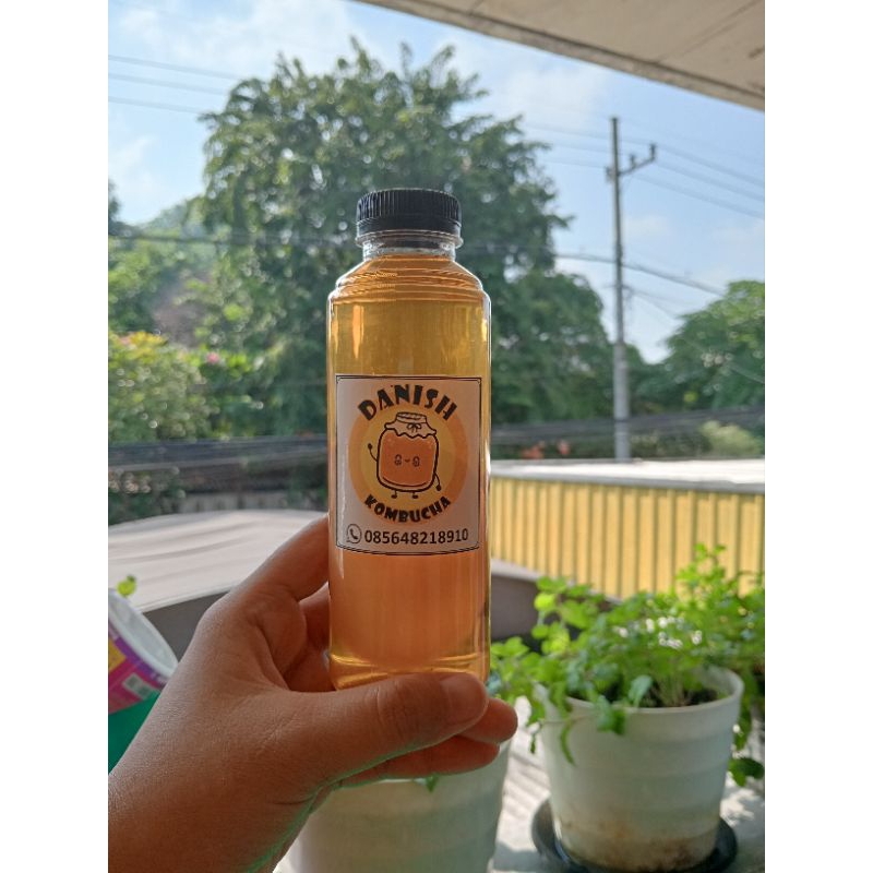 

starter kombucha 250ml/cuka kombucha/biang kombucha