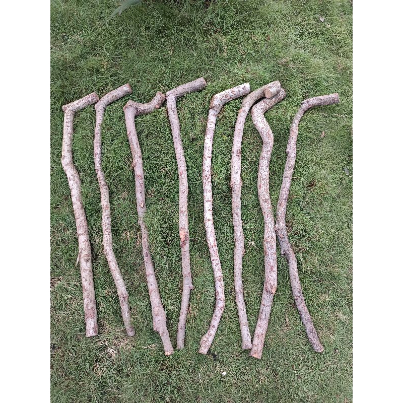 tongkat jalan kayu setigi manual