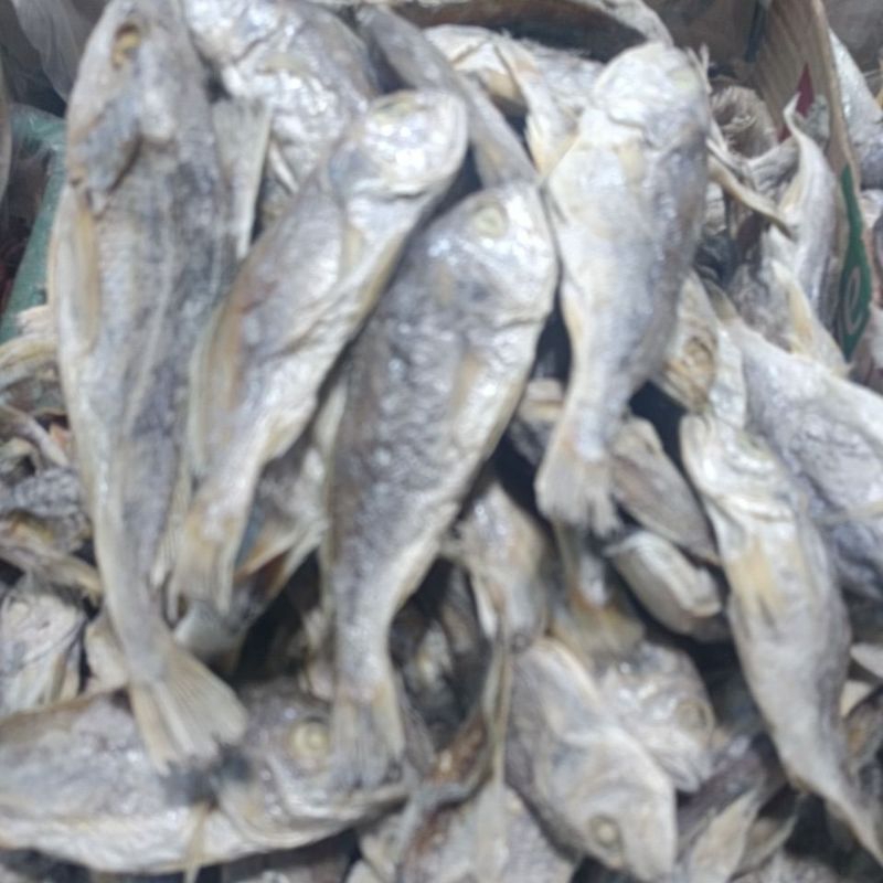 

Ikan asin kepala batu tanjung balai medan 250gram
