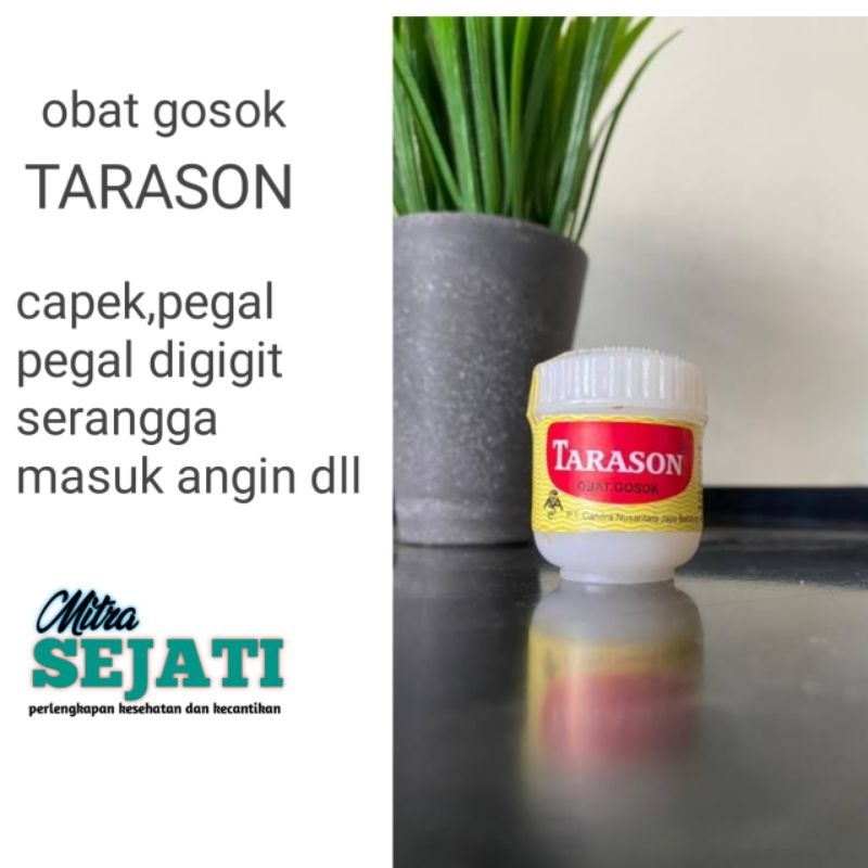 TARASON obat gosok 15 gram