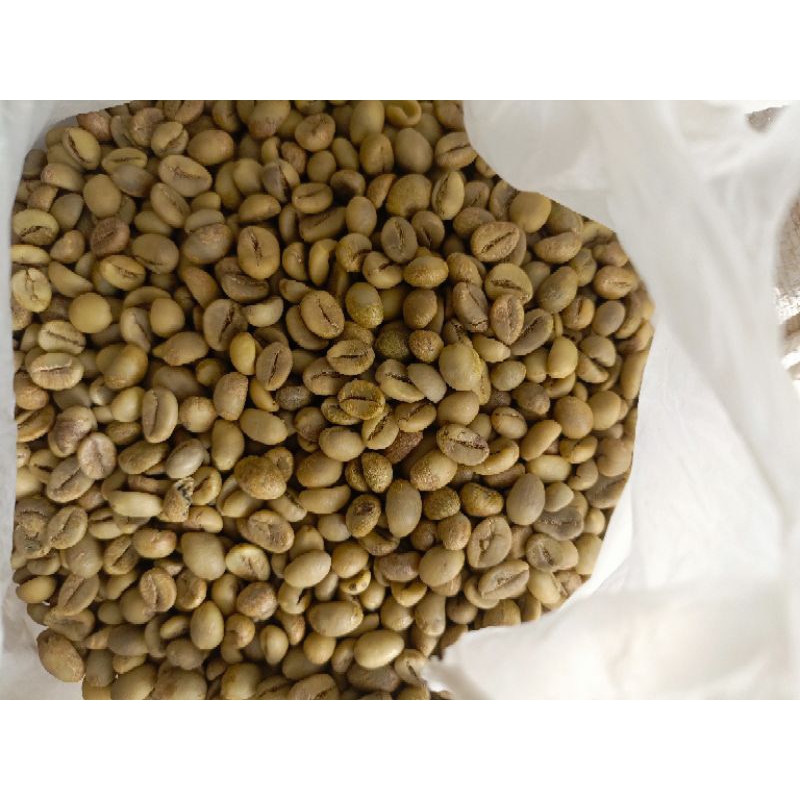 

robusta dampit grade komersil