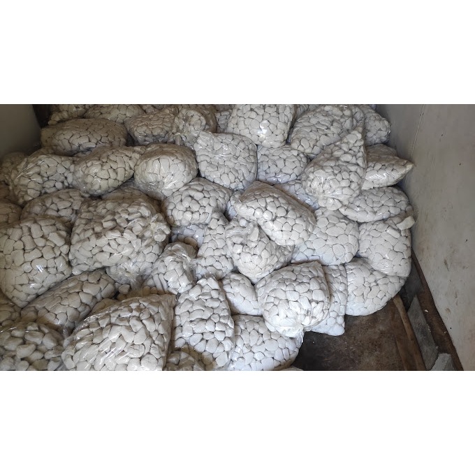 

BASRENG KATAJI KEMASAN 10 KG