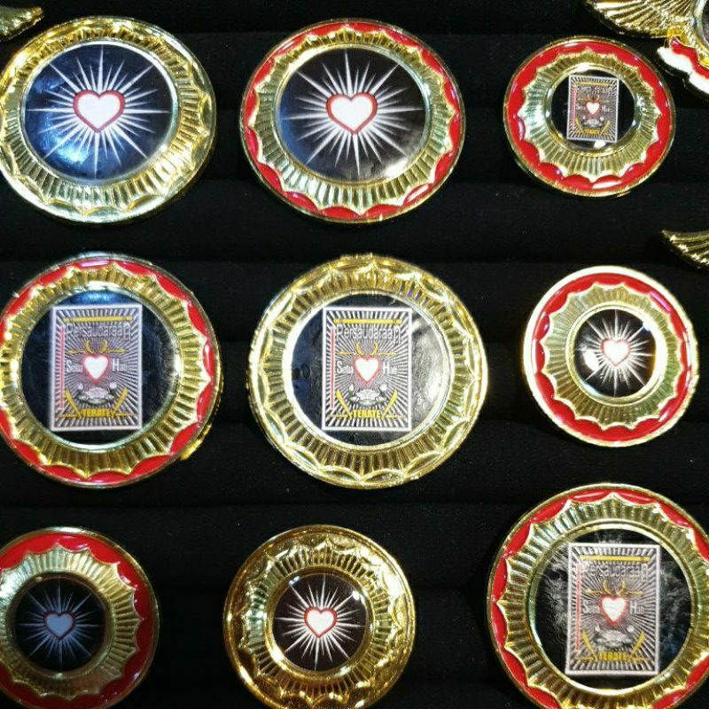 PIN PSHT  BAHAN LOGAM PIN BROS PSHT PERSAUDARAAN SETIA HATI TERATE