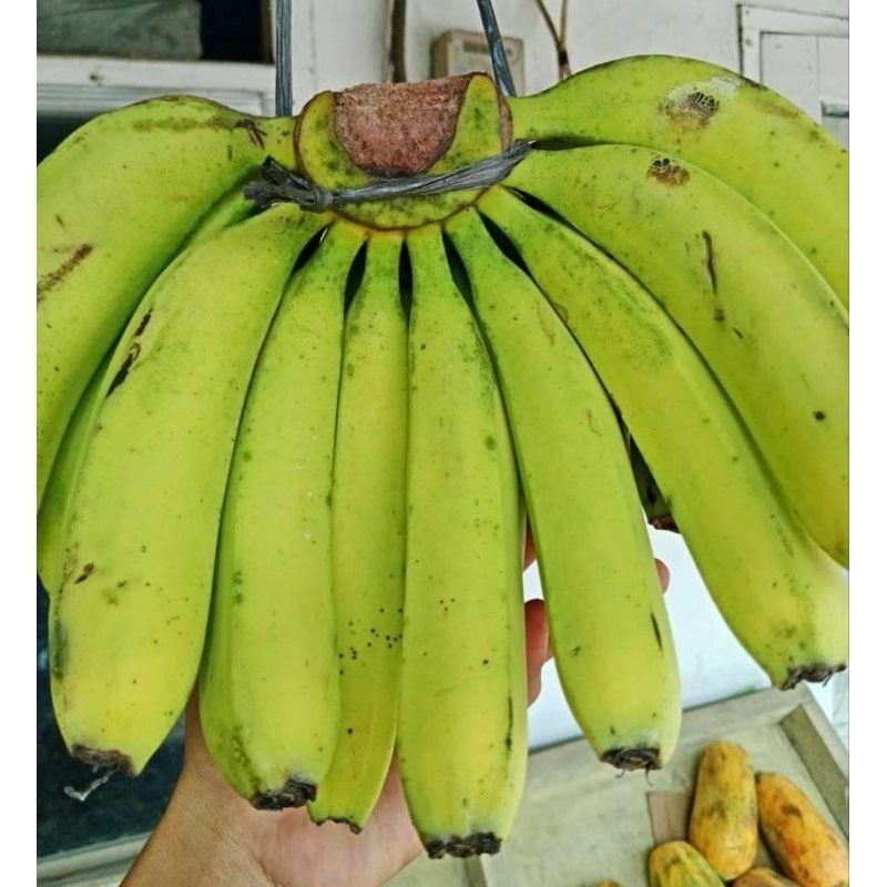 

Pisang Ambon