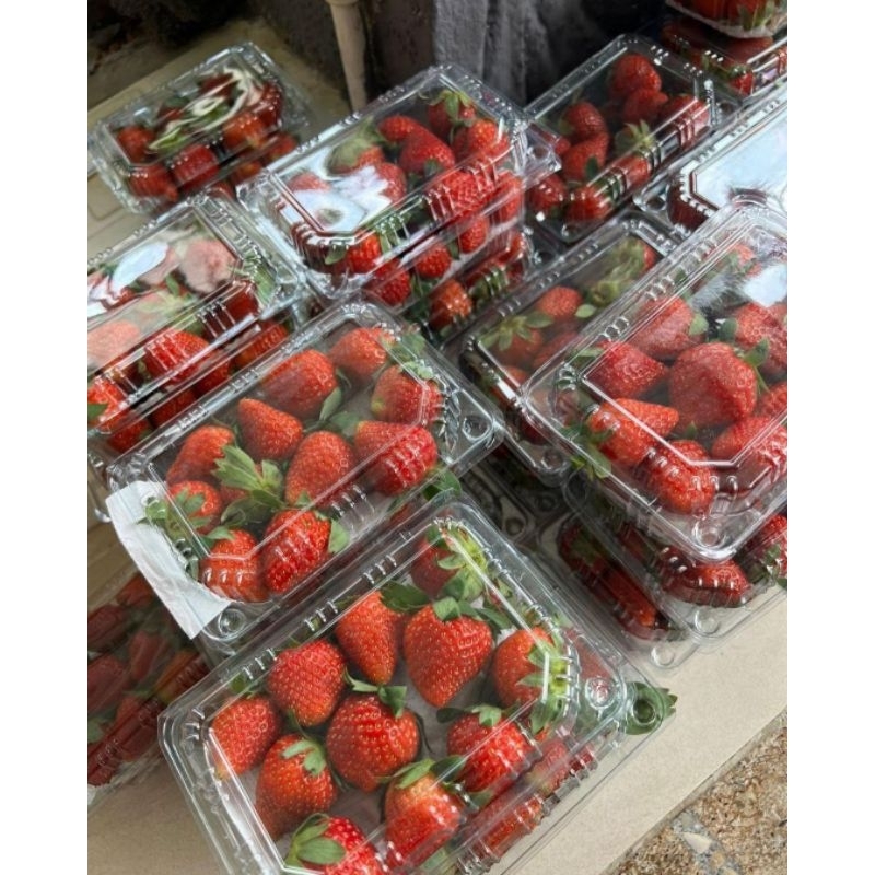

Strawberry lokal segar 1pack