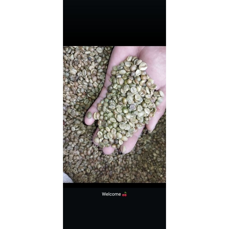 

KOPI ROBUSTA IJEN