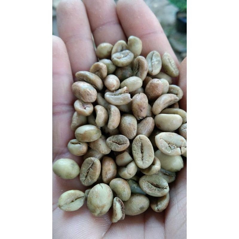 

kopi G1 bahan untuk caffe